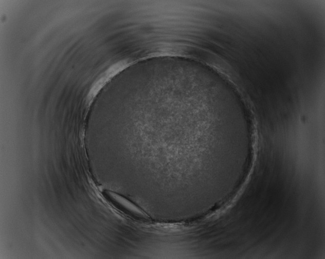 X0000051861121200507012334