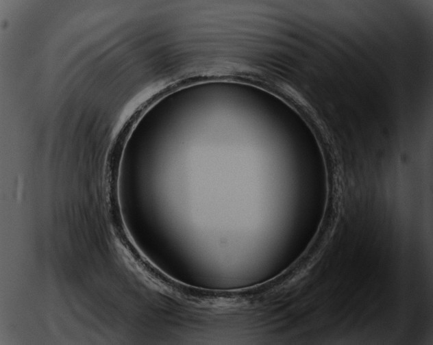 X0000051861122200507012334