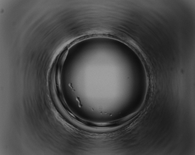 X0000051861124200507012334