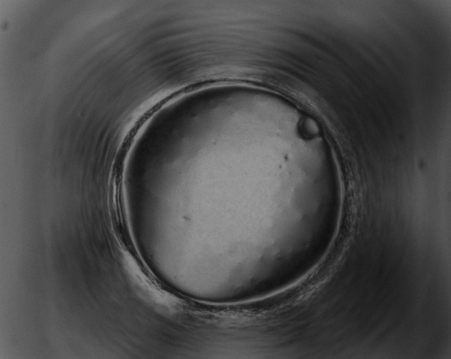 X0000051861125200507012334