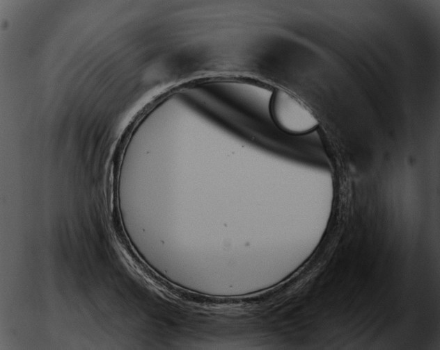 X0000051861126200507012334