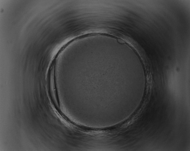 X0000051861127200507012334