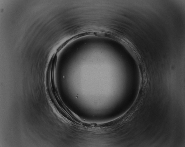 X0000051861128200507012334