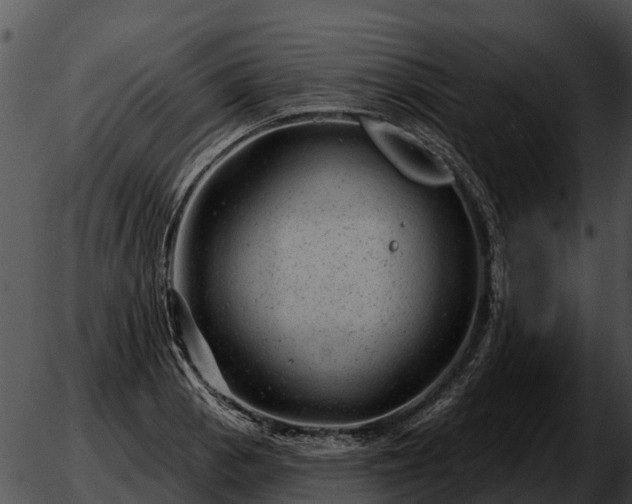 X0000051861129200507012334