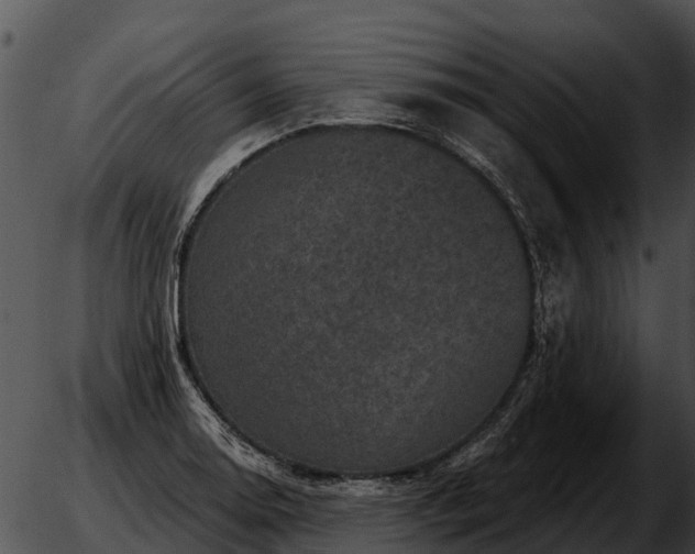 X0000051861130200507012334