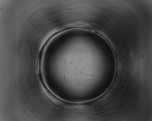 X0000051861131200507012334