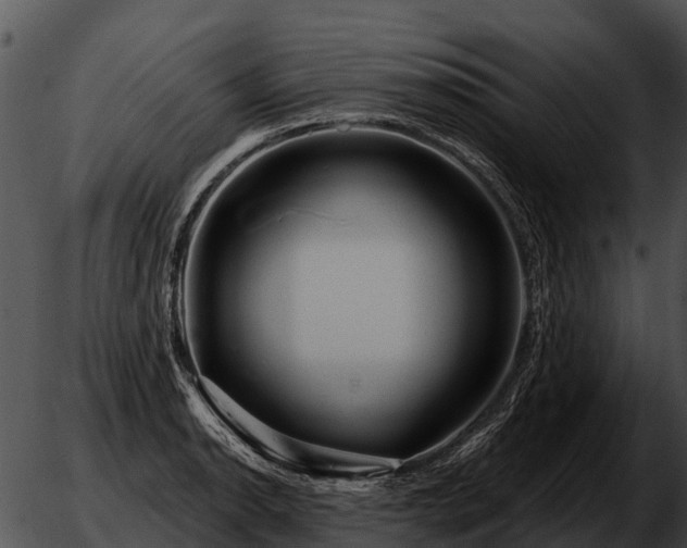 X0000051861134200507012334