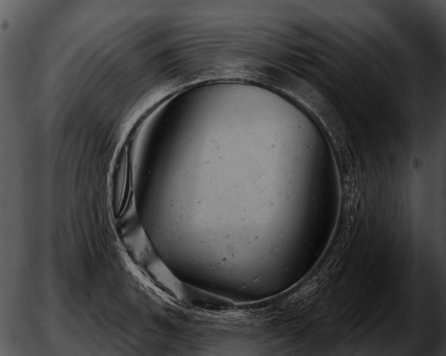 X0000051861135200507012334