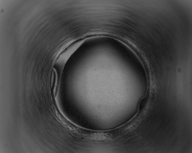 X0000051861137200507012334