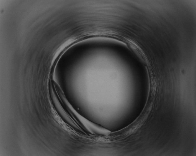 X0000051861138200507012334