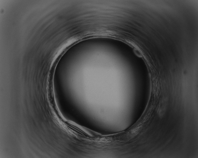 X0000051861139200507012334