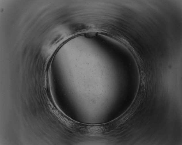 X0000051861140200507012334