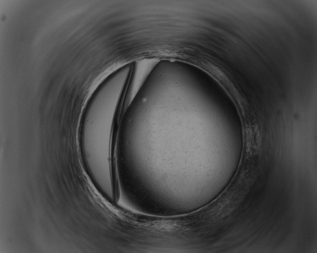 X0000051861141200507012334