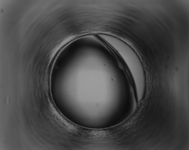 X0000051861142200507012334