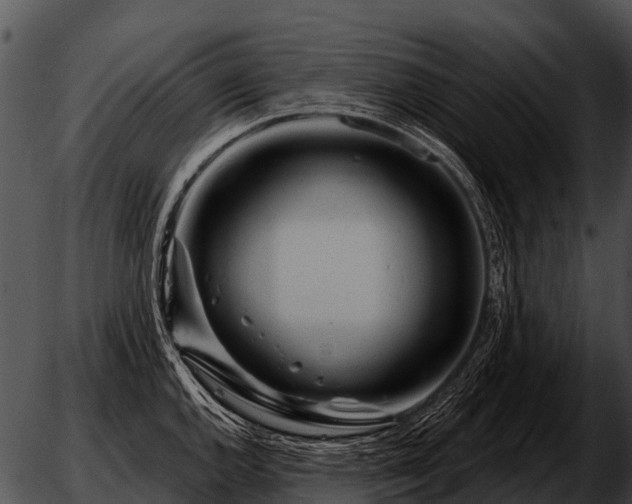 X0000051861144200507012334