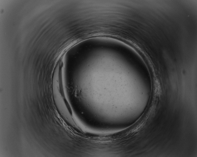 X0000051861145200507012334