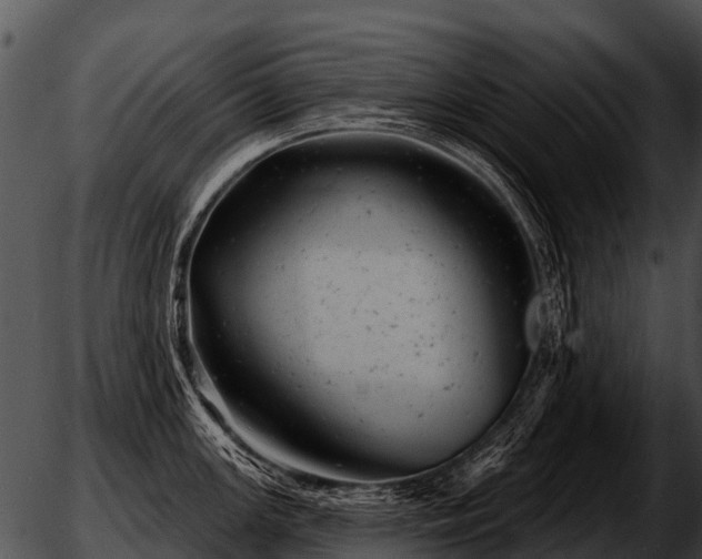 X0000051861147200507012334