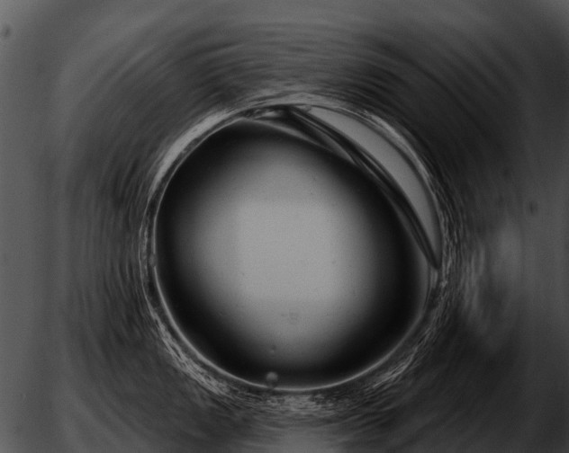 X0000051861149200507012334