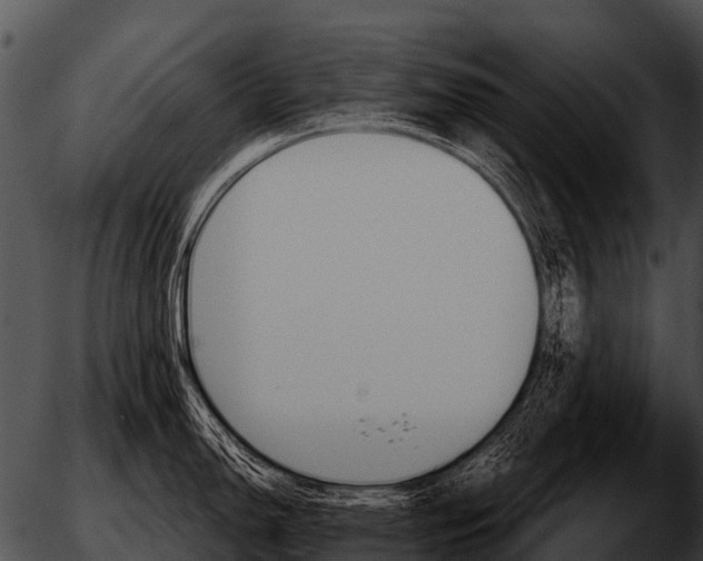 X0000051861150200507012334