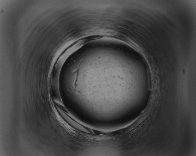 X0000051861152200507012334