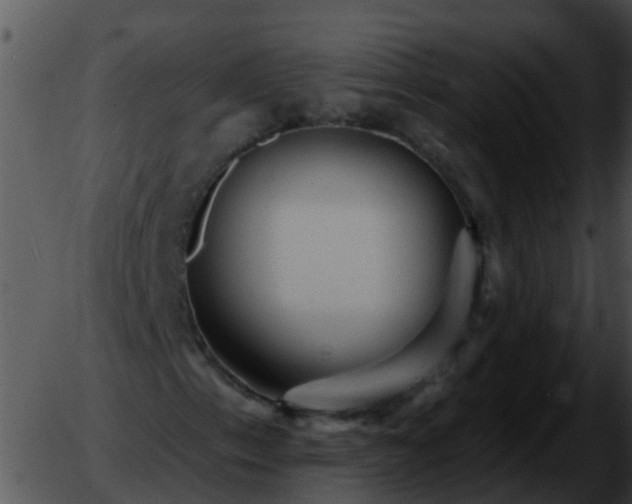 X0000051861153200507012333