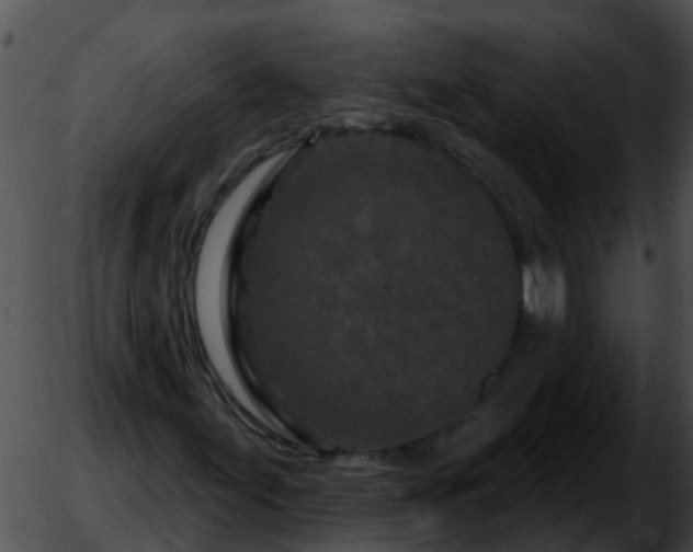 X0000051861155200507012333