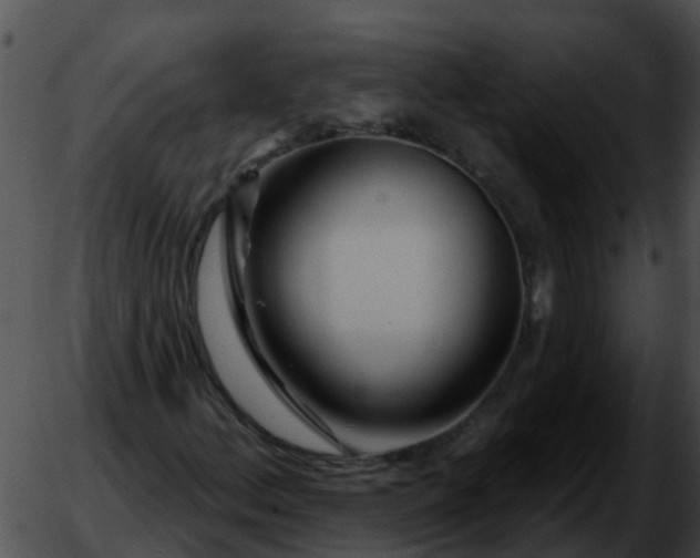 X0000051861156200507012333