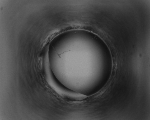 X0000051861157200507012333