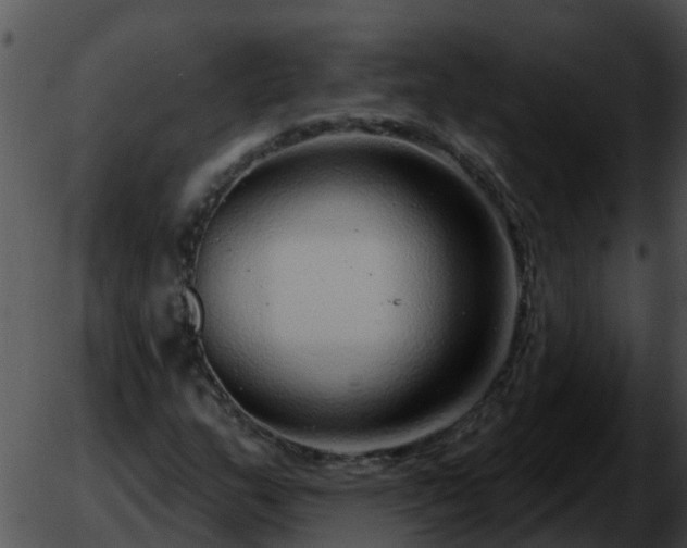 X0000051861159200507012333