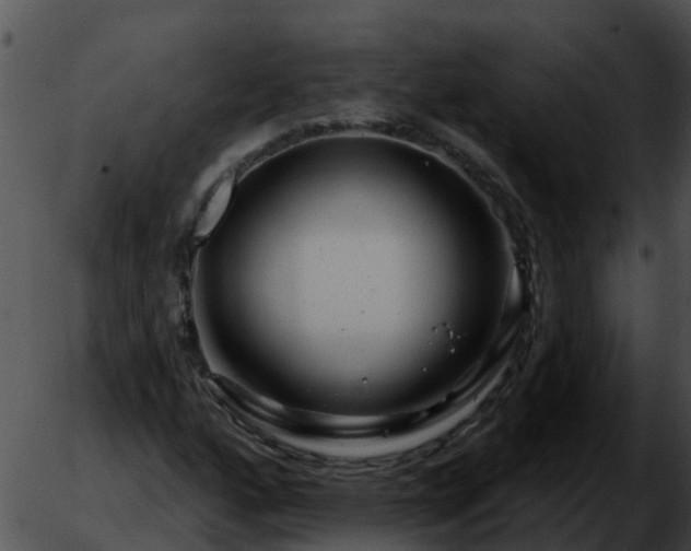 X0000051861160200507012333