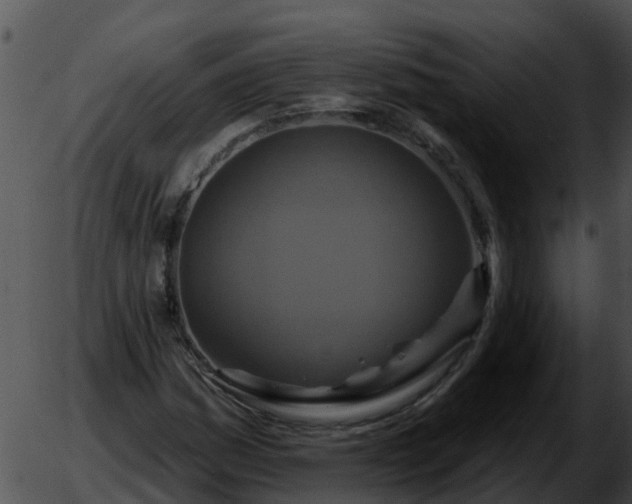 X0000051861161200507012333