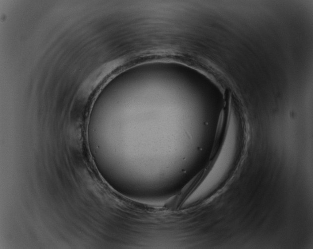 X0000051861162200507012333