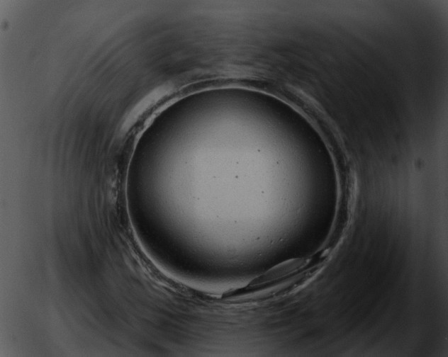 X0000051861163200507012333