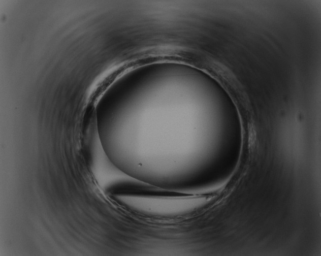 X0000051861164200507012333