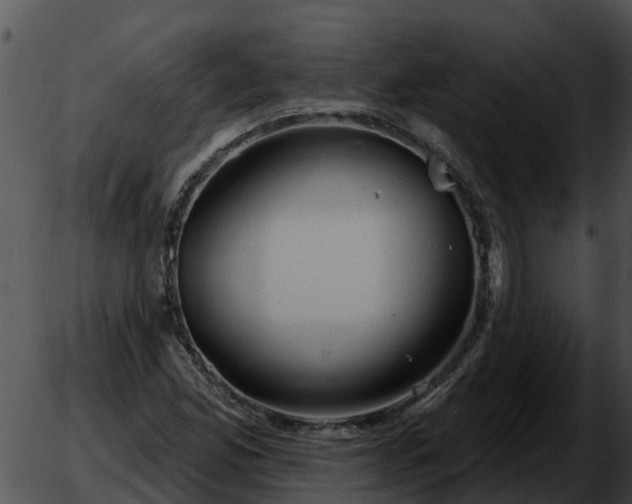 X0000051861165200507012333