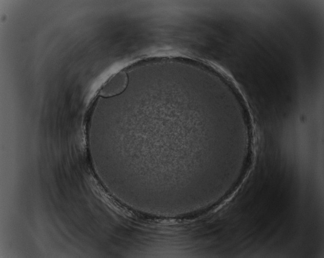 X0000051861167200507012333