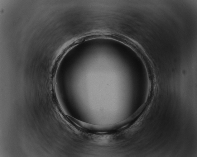 X0000051861168200507012333