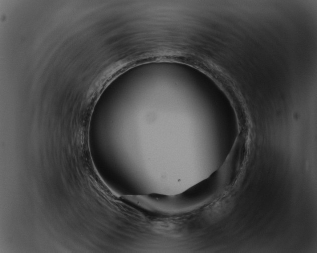 X0000051861169200507012333