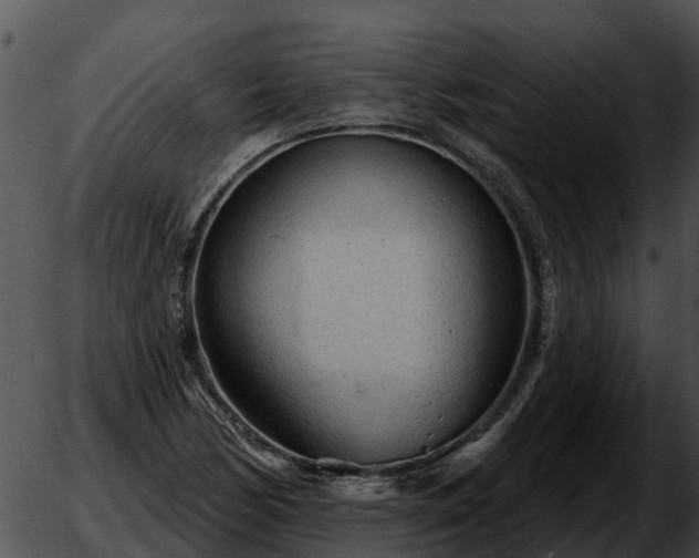 X0000051861170200507012333