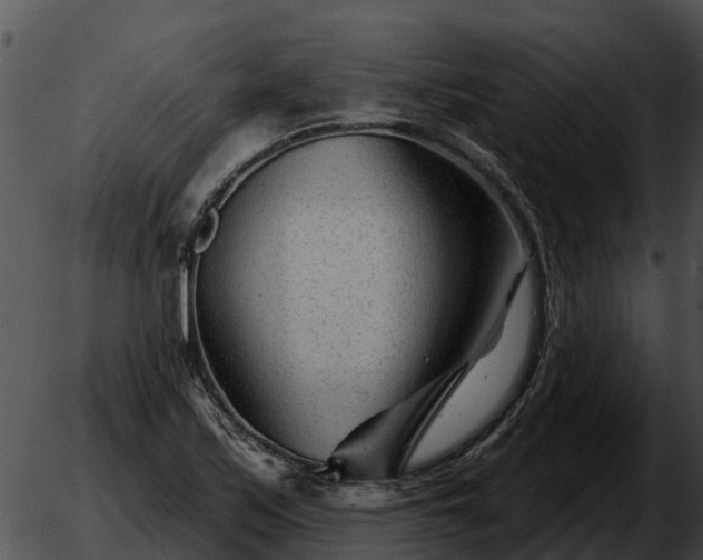 X0000051861171200507012333