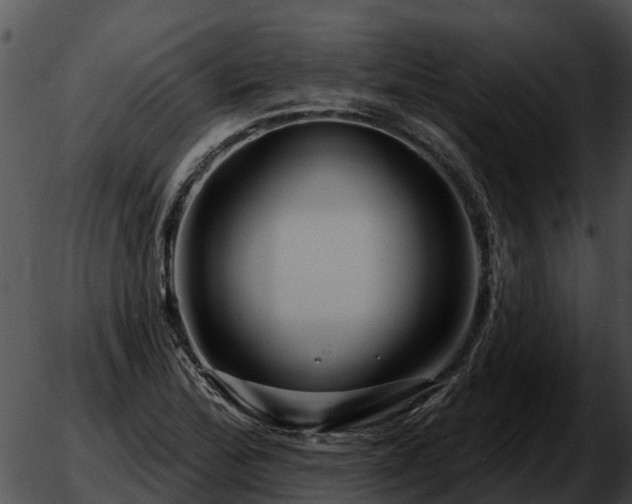 X0000051861172200507012333