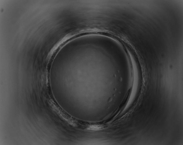 X0000051861173200507012333