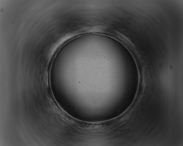 X0000051861174200507012333