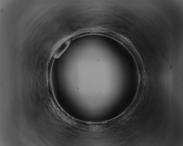 X0000051861176200507012333