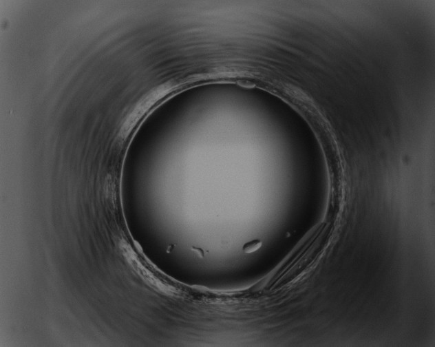 X0000051861177200507012333