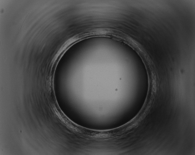 X0000051861178200507012333