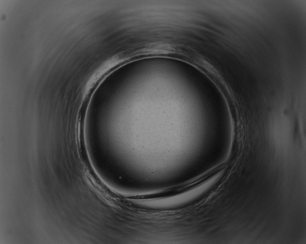 X0000051861179200507012333