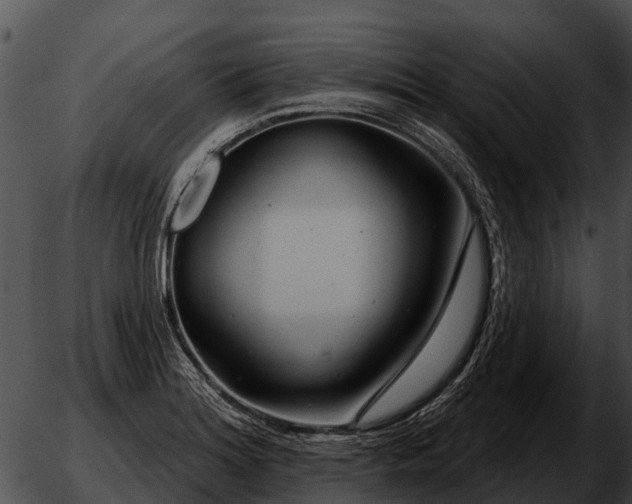 X0000051861180200507012333