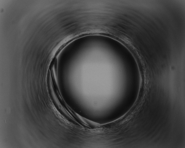 X0000051861181200507012333