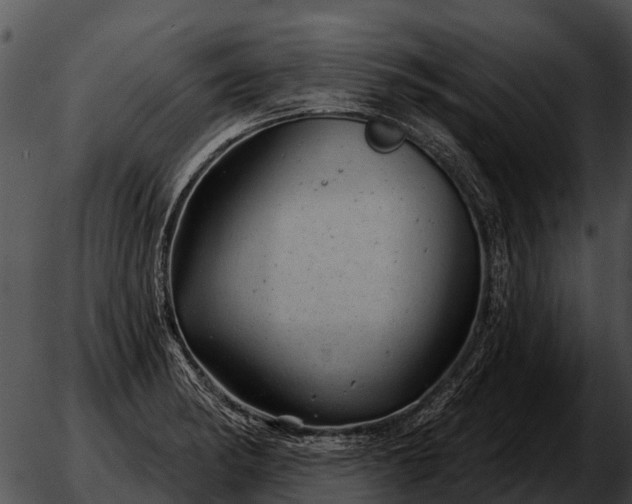 X0000051861182200507012333